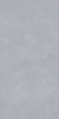Het slijtvaste Binnenporselein betegelt 750x1500mm voor Eetkamer